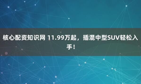 核心配资知识网 11.99万起，插混中型SUV轻松入手！