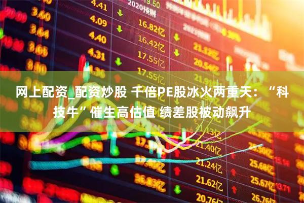 网上配资_配资炒股 千倍PE股冰火两重天：“科技牛”催生高估值 绩差股被动飙升